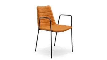 Cover P M TS